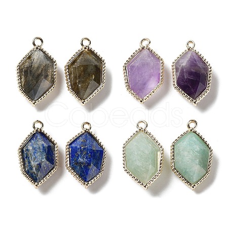 Natural Mixed Gemstone Pendants G-C087-03G-A-1