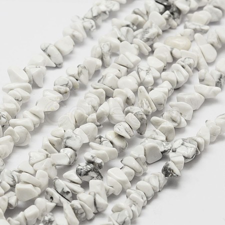 Natural Howlite Beads Strand G-F328-05-1