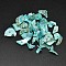 Dyed Natural Shell Nuggets Chips Beads, Medium Turquoise, 9~23x7~12mm, Hole: 1mm, about 1150pcs/500g