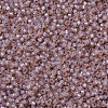 MIYUKI Round Rocailles Beads SEED-X0054-RR0579-3