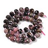 Natural Rhodonite Beads Strands G-H057-A12-01-3