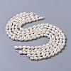 Natural Cultured Freshwater Pearl Beads Strands PEAR-P002-15-2
