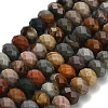 Natural Alashan Agate Beads Strands G-Z111-A39-01-3