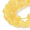 Natural Amber Beads Strands G-L095-B01-6mm-01-4
