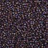 TOHO 8/0 Round Beads X-SEED-TR08-0166BF-2