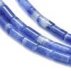 Natural Sodalite Beads Strands G-F631-B09-3