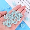 Transparent Acrylic Beads MACR-S373-47-D07-6
