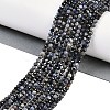 Natural Sapphire Beads Strands G-P553-G07-02-6