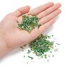 Glass Seed Beads X-SEED-S059-006-5