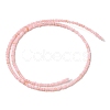 Natural Freshwater Shell Beads Strands SHEL-P017-01A-09-2