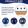 Natural Lapis Lazuli Beads Strands G-OC0001-76-2