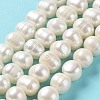 Natural Cultured Freshwater Pearl Beads Strands PEAR-E019-08-2