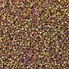 MIYUKI Delica Beads SEED-X0054-DB0507-3