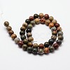 Natural Polychrome Jasper/Picasso Stone/Picasso Jasper Bead Strands G-O155-02A-6mm-2