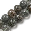 Natural Lodolite Quartz Beads Strands G-R494-A15-04-1