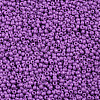 11/0 FGB Grade A Baking Paint Glass Seed Beads X-SEED-N001-A-1052-2
