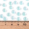 FGB Inside Colours Transparent Glass Seed Beads SEED-T009-01C-4