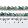 Natural Chrysocolla Beads Strands G-C093-A01-02-4