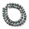 Natural African Turquoise(Jasper) Bead Strands X-G-G957-25-8mm-2