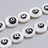 Natural Shell Beads Strands SSHEL-I024-03C-02-1