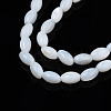 Natural Freshwater Shell Beads Strands SHEL-N003-25-A01-3