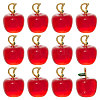 12Pcs Handmade Lampwork Pendants LAMP-CA0001-13B-1