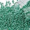 TOHO 11/0 Round Beads X-SEED-TR11-PF0561-1