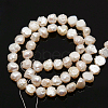 Natural Cultured Freshwater Pearl Beads Strands PEAR-N002-04-2