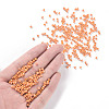 8/0 Glass Seed Beads SEED-A012-3mm-130-4