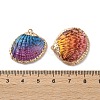 Sea Shell Pendants SSHEL-B002-07G-02-3