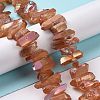 Natural Quartz Crystal Points Beads Strands G-K181-B22-4