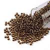 TOHO 8/0 Round Beads SEED-JPTR08-2152S-1
