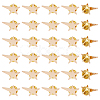 SUPERFINDINGS 30Pcs Star Alloy Brooches AJEW-FH0004-31A-1