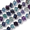 Natural Fluorite Beads Strands G-NH0063-01-2