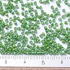 MIYUKI Delica Beads Small SEED-J020-DBS0163-4