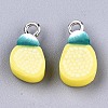 Handmade Polymer Clay Charms CLAY-T016-60-2