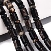 Natural Biotite Beads Strands G-Q616-09B-1