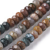 Natural Ocean Jasper Beads Strands G-F668-01-A-1
