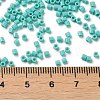 Opaque Glass Seed Beads SEED-S042-22B-04-4