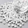 6/0 Glass Seed Beads SEED-A012-4mm-121-1