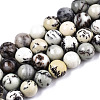 Natural Dendritic Jasper Beads Strands X-G-T129-17-1