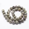 Natural Labradorite Bead Strands G-D840-64-8mm-2