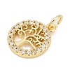 Brass Micro Pave Clear Cubic Zirconia Charms KK-G522-46G-3