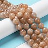 Natural Sunstone Beads Strands G-N327-01A-03-4