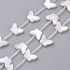Natural White Shell Mother of Pearl Shell Beads SSHEL-L018-013-1