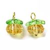 Handmade Lampwork Charms LAMP-D019-01B-1