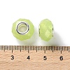 Pearlized Resin European Beads RESI-M001-01F-3