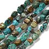 Natural HuBei Turquoise Beads Strands X-G-P497-01E-19-1