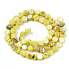Natural Freshwater Shell Beads Strands SHEL-S276-110A-M-2