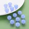 Transparent Acrylic Beads MACR-S373-10E-01-7